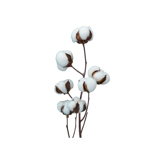 Dekorativní větvička bavlníku COTTON TWIG V.80cm_7