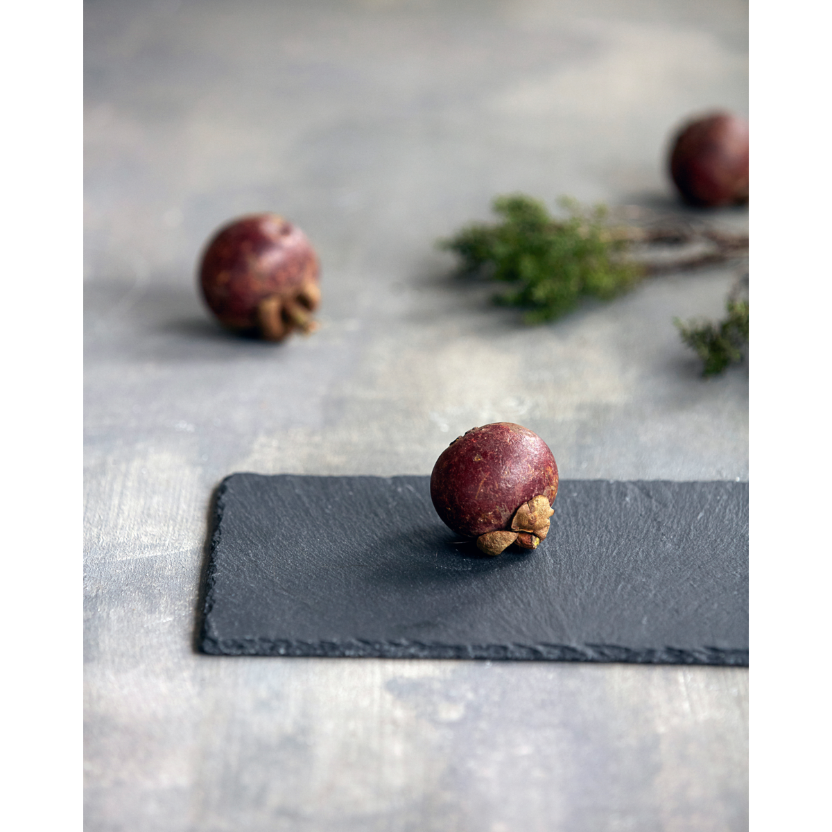 Podnos z břidlice Nicolas Vahé 28x18cm_1