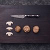 Špikovací nůž 10 cm Zwilling TANREI_1