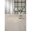 Světelný řetěz na baterie se 40 LED kapkami rosy, 4m, časovač_1