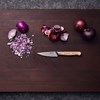 Špikovací nůž 10 cm ZWILLING PRO dub_1