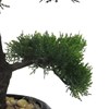Umělá dekorace bonsaj CEDR 37 cm (vč. květináče)_0