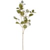 Větvička eukalyptu 76 cm zelená_1