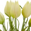 Tulipán svazek x5 s větvičkou 25 cm, bílá_0