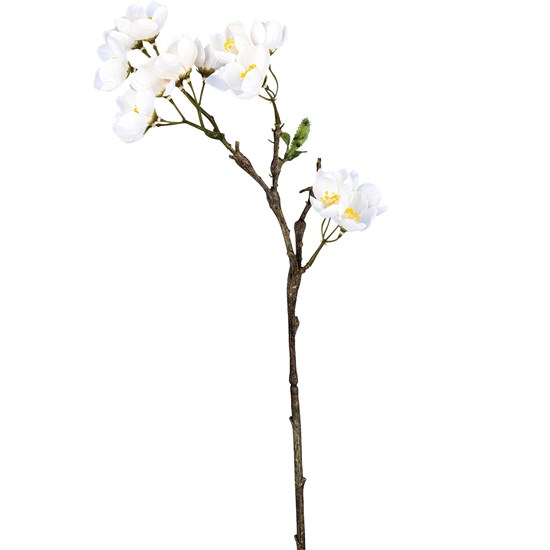 Větvička jabloně 60 cm, bílá_1