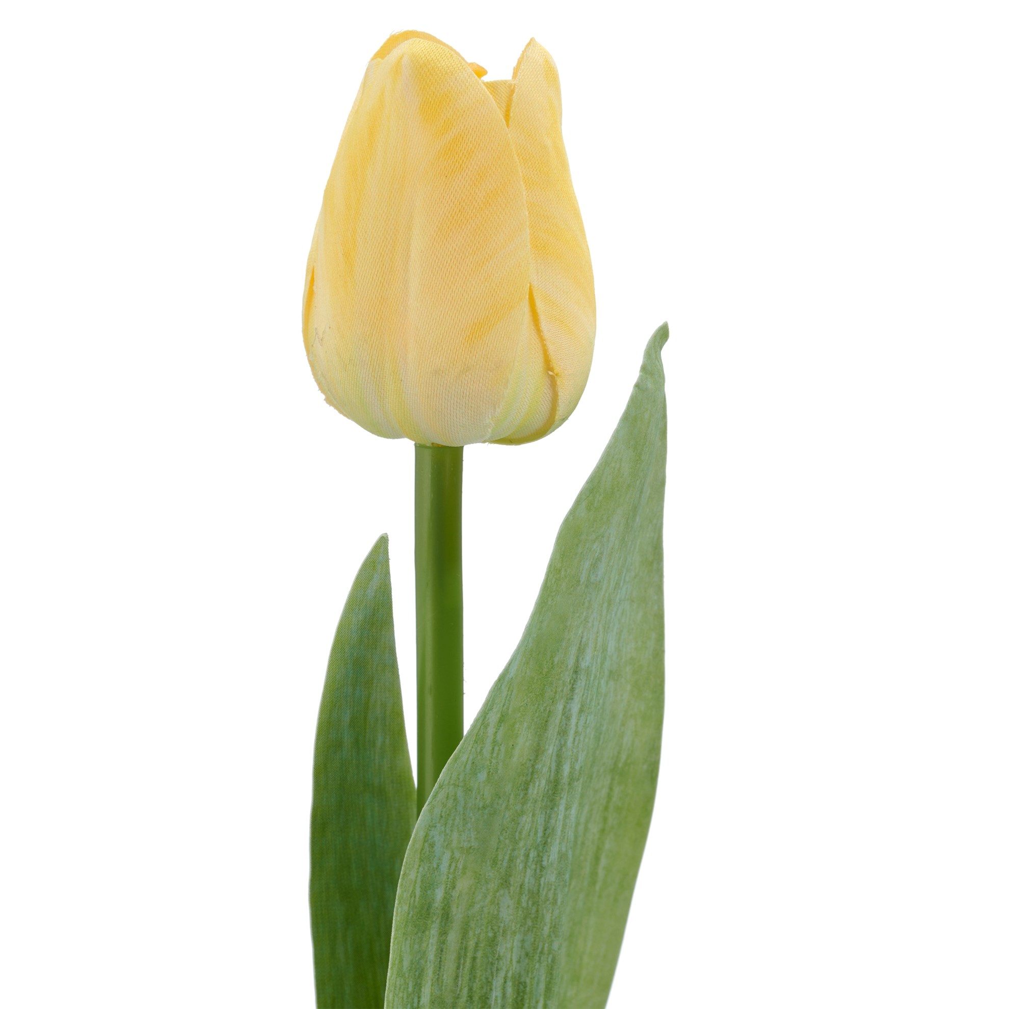 Tulipán x1 35 cm, žlutá_0