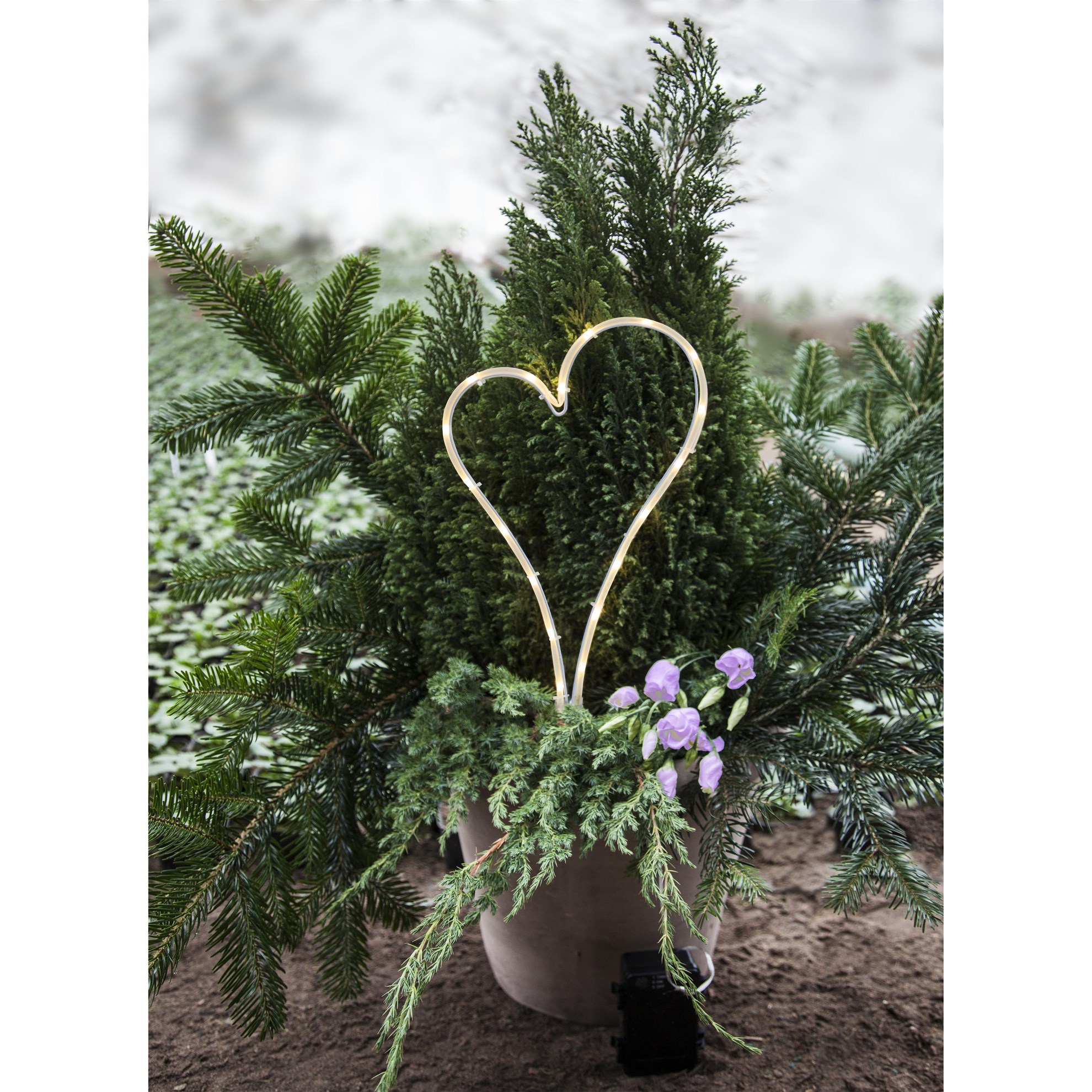 LED osvětlení srdce V.39cm bílé_1